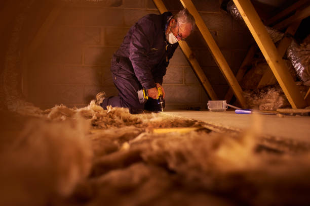 Types of Insulation We Offer in The Colony, TX